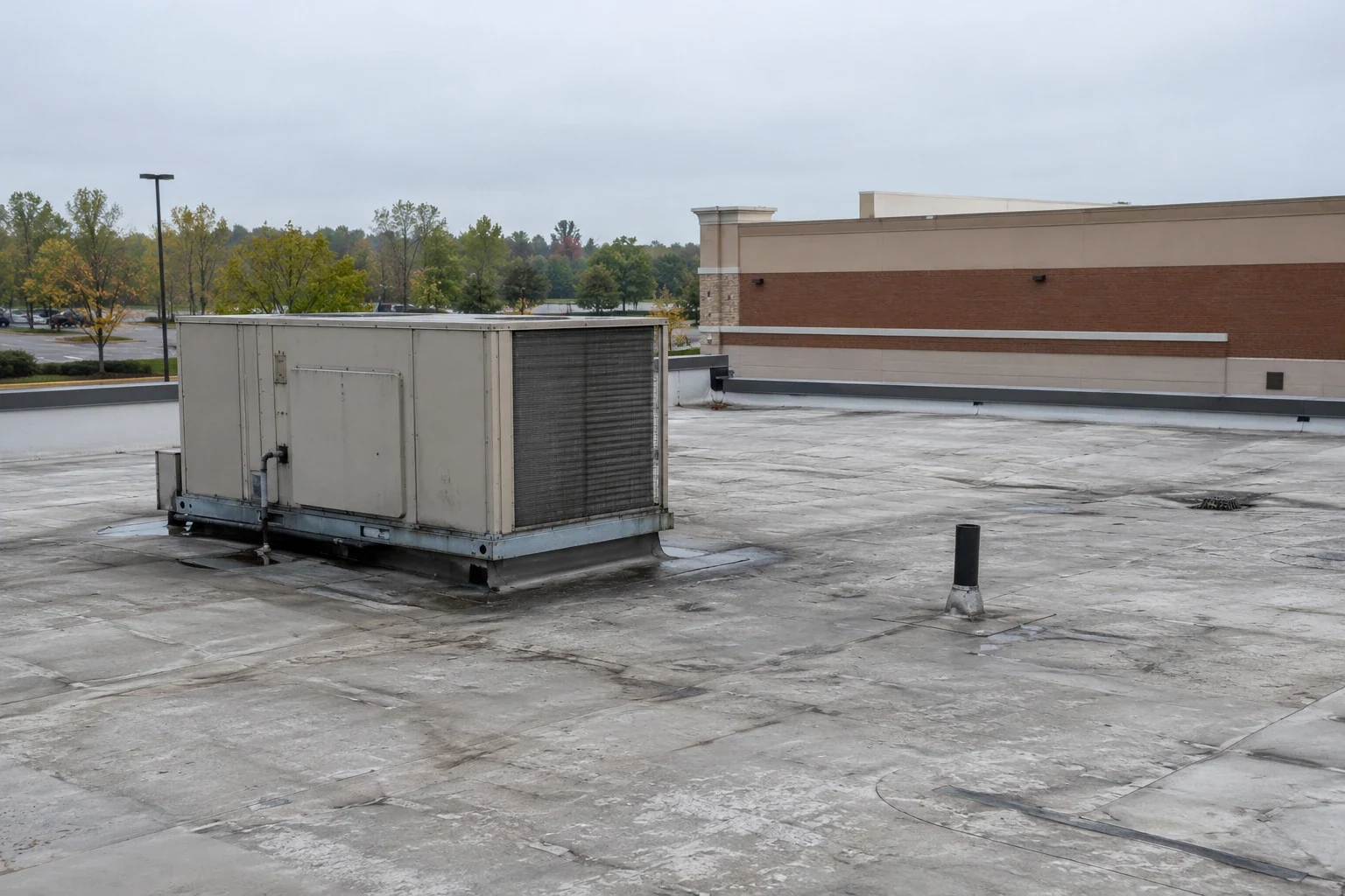 Grocery Store Roofing in Flagstaff, AZ