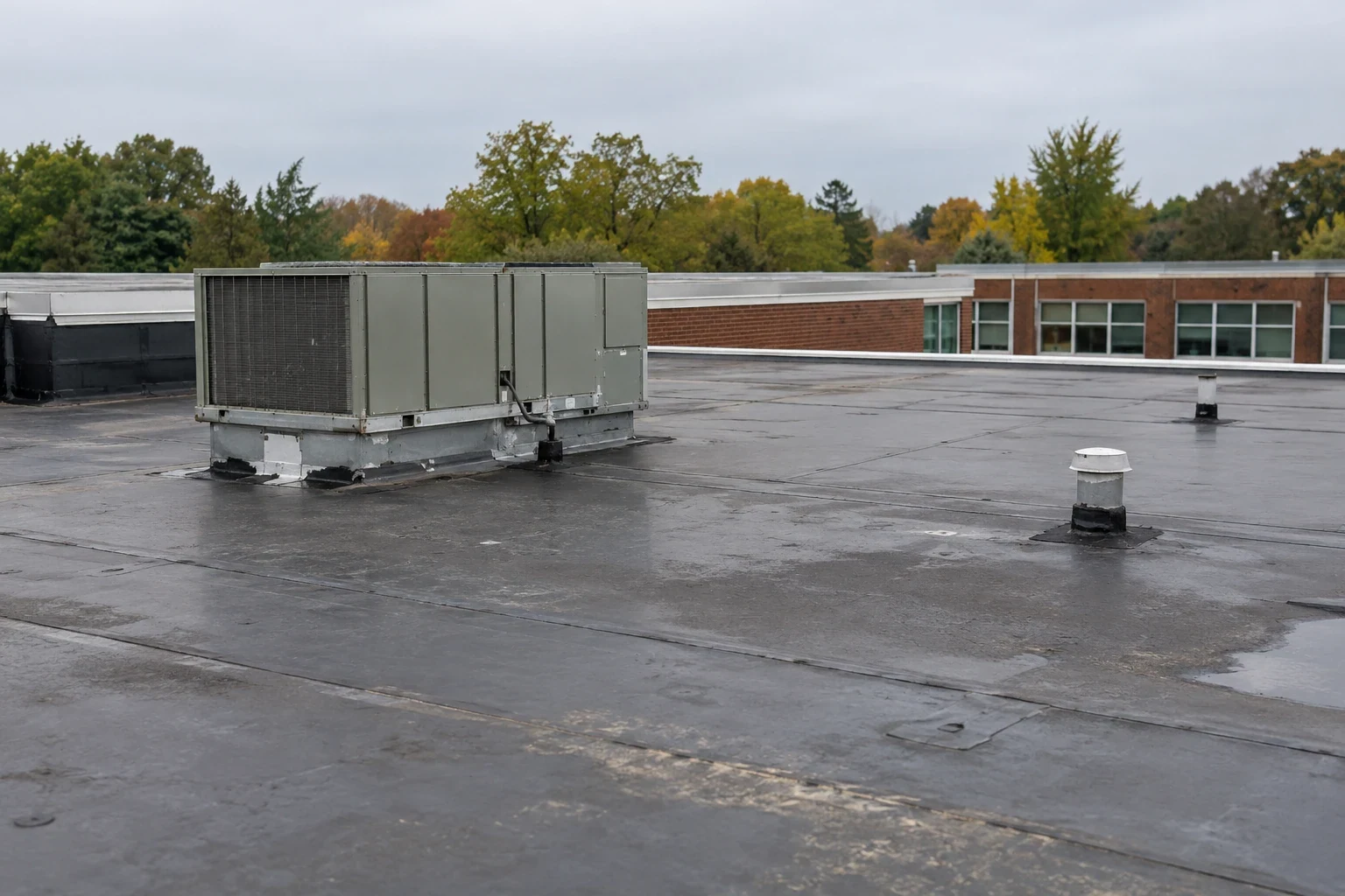 School Roofing in Flagstaff, AZ