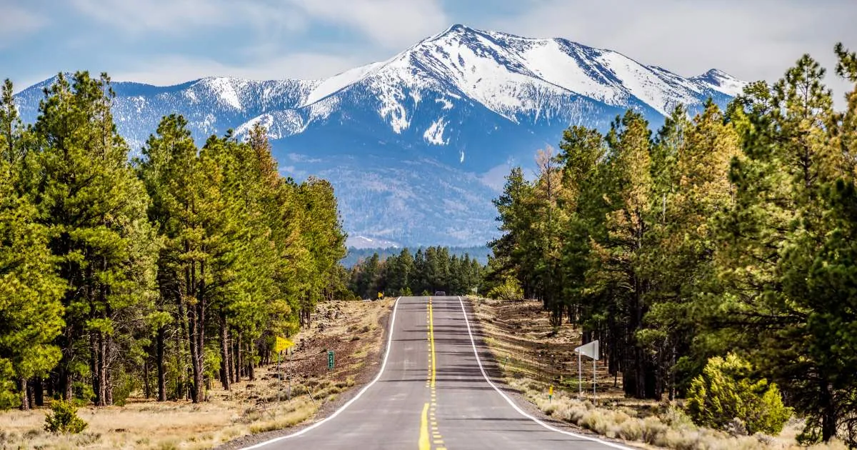 Commercial Roofing in Downtown Flagstaff, AZ